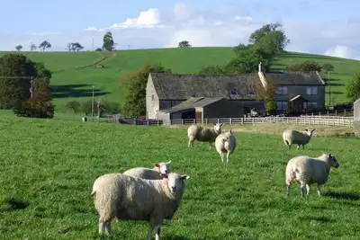 Isolement rural avec vue panoramique sur la campagne, chiens bienvenus, WiFi gratuit.