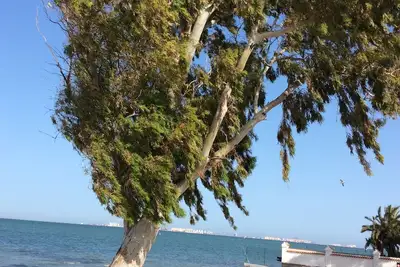 Image de Maison de vacances avec tous les éléments essentiels de base près des plages pour 6 personnes