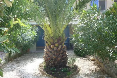 Image de Villa climatisée avec wifi piscine dans résidence à 300 m de la plage