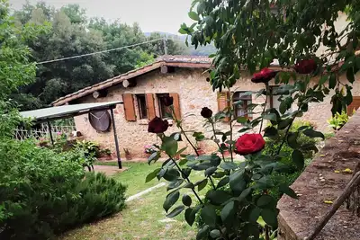 Image de Aux alentours de Sienne, belle maison pour 2-4 personnes, avec jardin et piscine