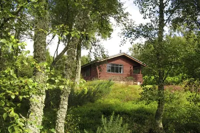 Unique, Solo Log Cabin Dans Woodland privé avec vue sur la mer et locaux Hills