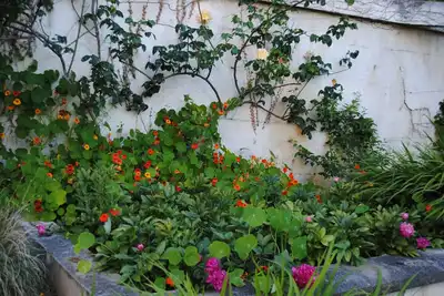Image de Villa Art Deco Avec Jardin Et Acces Direct A La Plage