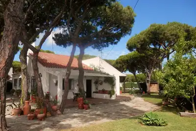 Image de El Olivo (l'Olivier), villa de style colonial avec piscine privée