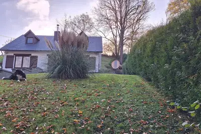 Image de Au bout d'une impasse, l'entrée d'une forêt recèle cette splendeur.