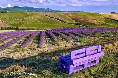 Image de Agriturismo Mandriato di Toscana Family Holidays