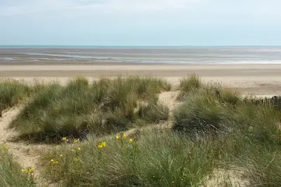 Image de Maison familiale et animaux acceptés directement sur une belle plage de sable - récemment rénovée!