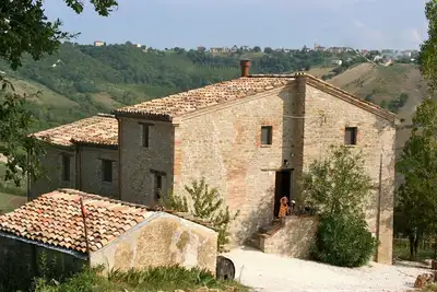 Image de Vignoble biologique / ferme d'oliviers avec une vue superbe sur les montagnes / vallée