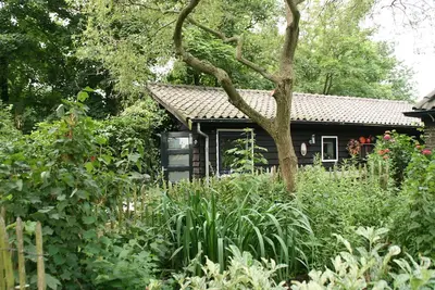Image de Bungalow de luxe indépendant pour 2 personnes sur une route principale dans une zone boisée