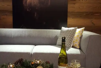 Image de Magnifique appartement rénové au rez-de-chaussée de ski 2017.