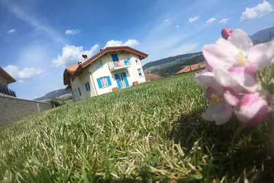 Image de In the green and cool Trentino large apartment with garden, balcony, parking space