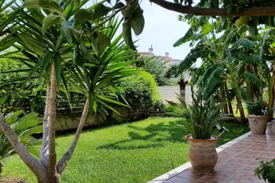 Image de Superbe appartement de jardin de 2 chambres, jardin privé, piscine commune, plage à 100m
