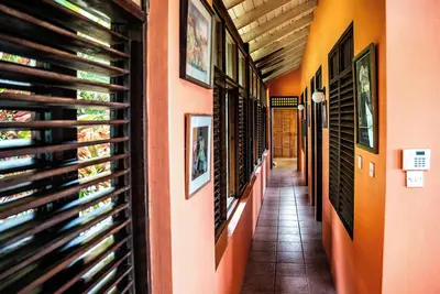 Image de Frangipani – un endroit magnifique à découvrir Sainte Lucie