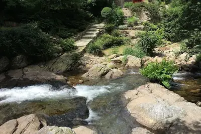 Image de Maison de caractère en bord de ruisseau dans les bois du Tarn