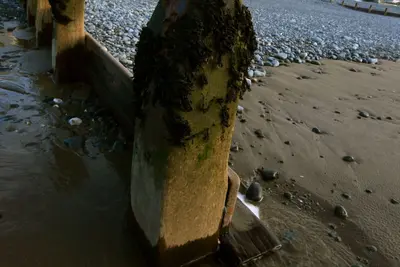 Image de Windsor House, Borth