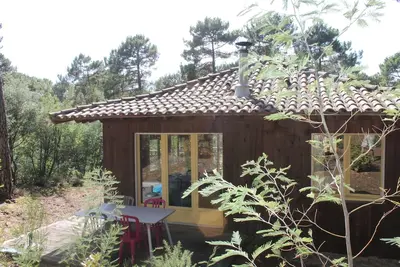 Image de Maison entre lac et océan, dans les pins.