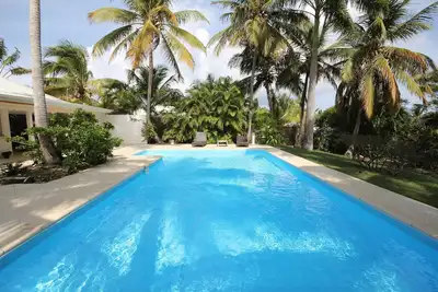 Image de Villa Les Palmiers Piscine Vue mer Palmiers royaux Guadeloupe