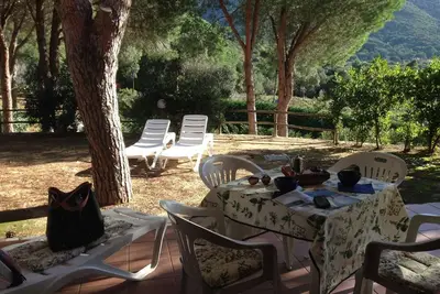 Image de Appartement pour 6 personnes au rez-de-chaussée dans une maison à deux familles avec un beau jardin et dans le quartier très