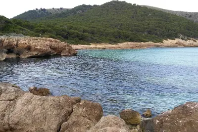Image de Centre de confort \"El Olivo\" de Capdepera