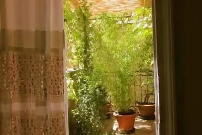 Image de Appartement ensoleillé/grande terrasse un jet de pierre du Pont Rialto, free wifi