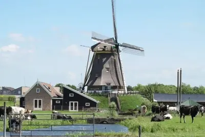 Image de Atmosphérique, chalet à côté du moulin, avec un moulin et Polderzicht