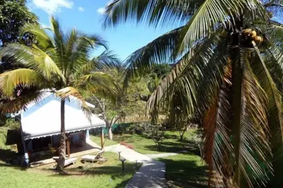 Image de Bungalow créole dans un jardin tropical
