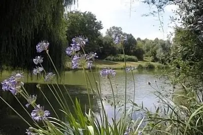 Image de Chalet 6 personnes au bord du lac Près de Chalais \/ Aubeterre