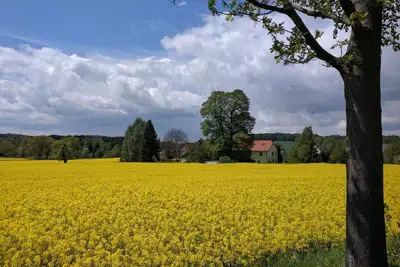 Image de Avec un style dans la nature
