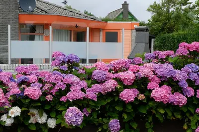 Image de Maison de plain-pied sur la côte de la Mer du Nord à seulement 300 m de la plage