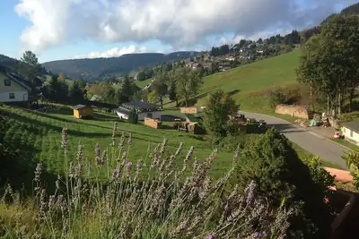 Image de Directement sur le ski ascenseur, cheminée, cuisine ouverte, terrasse plein sud avec vue, comme avec un chien