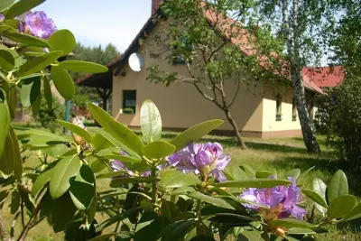 Image de en forêt, lac, repos et détente, confortablement aménagé, grand jardin,