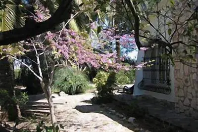 Image de Maison méditerranéenne, jardin avec palmiers, proche de la plage, endroit calme