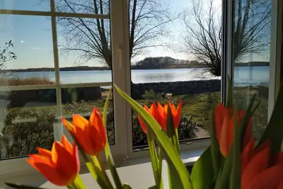 Image de Petite maison au bord du lac (région Schaalsee, près de Luebeck)