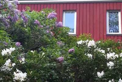 Maison Décoration individuelle dans un endroit calme en forêt