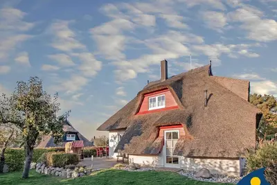 Image de Fil marin de maison, Allemagne