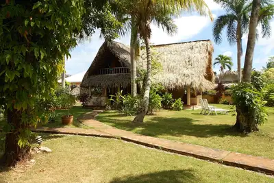 Image de Maison couverte de palmiers dans le jardin tropical