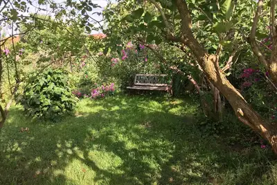 Image de Location Bear Cave - avec son propre jardin - chiens bienvenus