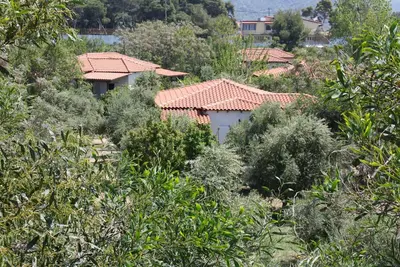 Image de Calme, au milieu d'une oliveraie, près de la plage, wifi | Maison de vacances Ili
