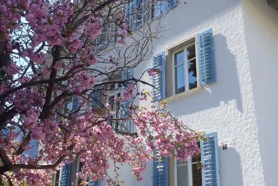 Image de Appartement élégant et spacieux de 1. 5 pièces (42m2) dans une villa Art Nouveau!