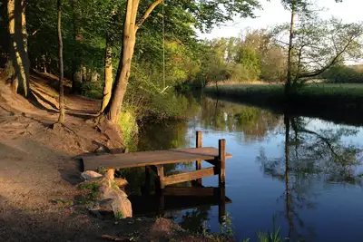 Image de Excl. Appartement à Lunebourg, grand balcon orienté plein sud avec vue sur la forêt, à proximité de la vieille ville