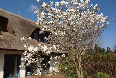 Image de Belle maison au toit de chaume avec grand jardin et terrasse