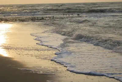 Image de Logement de vacances de luxe Ă seulement 100 m de la plage et du centre