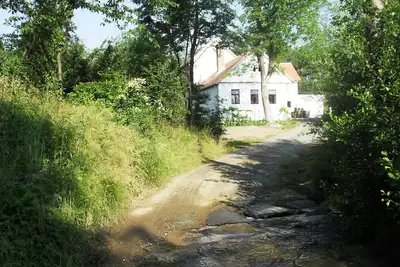 Image de Ancien moulin avec un emplacement calme et d'un étang
