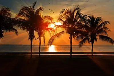 Condo Beachfront Venice Island: Piscine Olympique, Wi-Fi gratuit, - Bas Prix Reduits