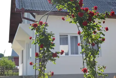 Image de Maison de campagne de Transylvanie