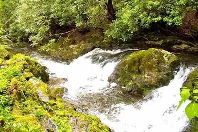 Image de Rushing Waters Cabin - Une retraite romantique côté ruisseau avec des cascades aussi!