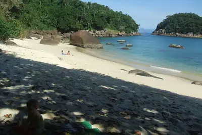 Image de Montagne / ForĂŞt / Plage -