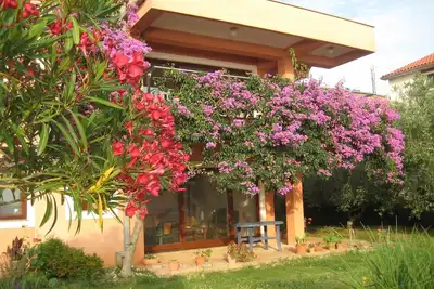 Image de Appartement familial dans un vieux village de pêcheurs proche de Zadar