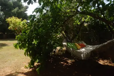 Image de Maison spacieuse sur la Riviera d'Athènes avec grand jardin - à 1, 5 km de la plage