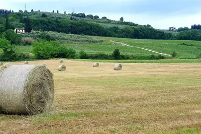 Image de Casale le Lame: Canaiolo