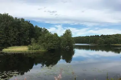 Image de Grande maison confortable avec cheminée et piscine pour 8 personnes au bord de la rivière